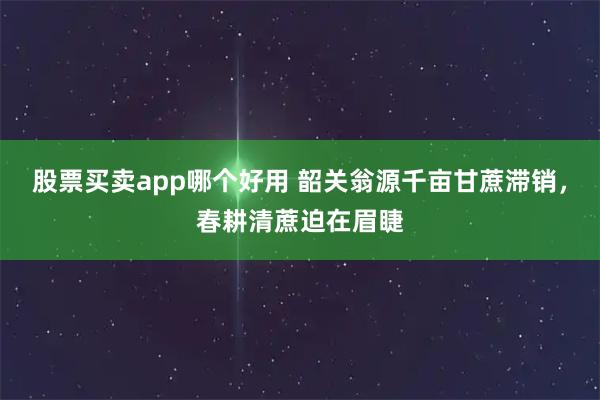 股票买卖app哪个好用 韶关翁源千亩甘蔗滞销，春耕清蔗迫在眉睫